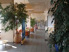 183 HYERES ET SES PALMIERS D13_000053